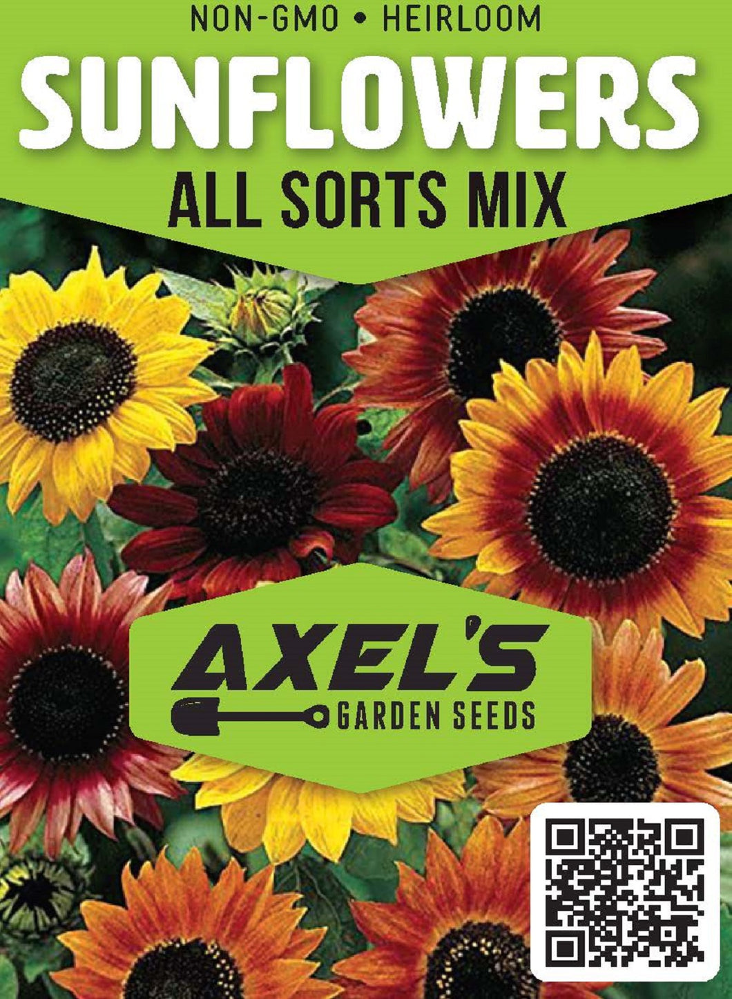 Sunflower Seeds - All Sorts