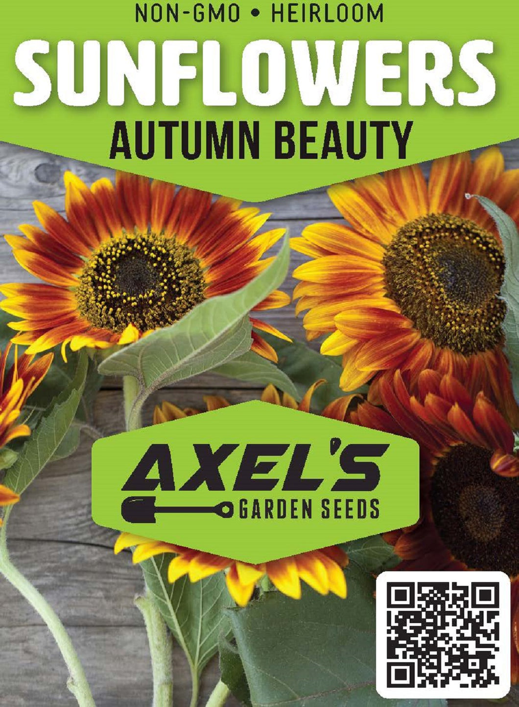 Sunflower Seeds - Autumn Beauty