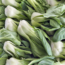 Load image into Gallery viewer, Cabbage Seeds - Bok Choy
