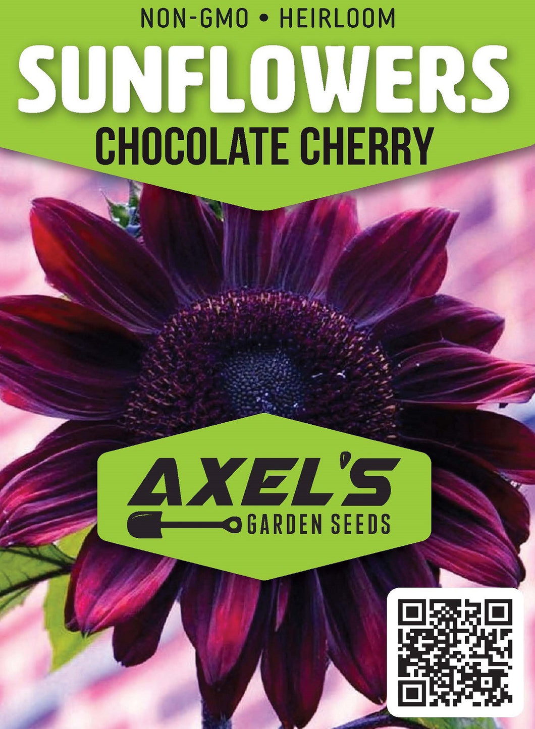 Sunflower Seeds - Chocolate Cherry