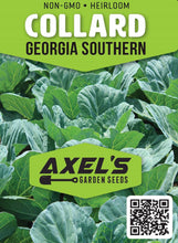 Load image into Gallery viewer, Collard Seeds - Georgia Southern
