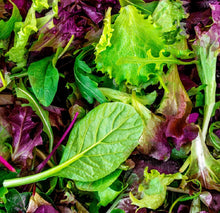 Load image into Gallery viewer, Lettuce Seeds - Mesclun Mix
