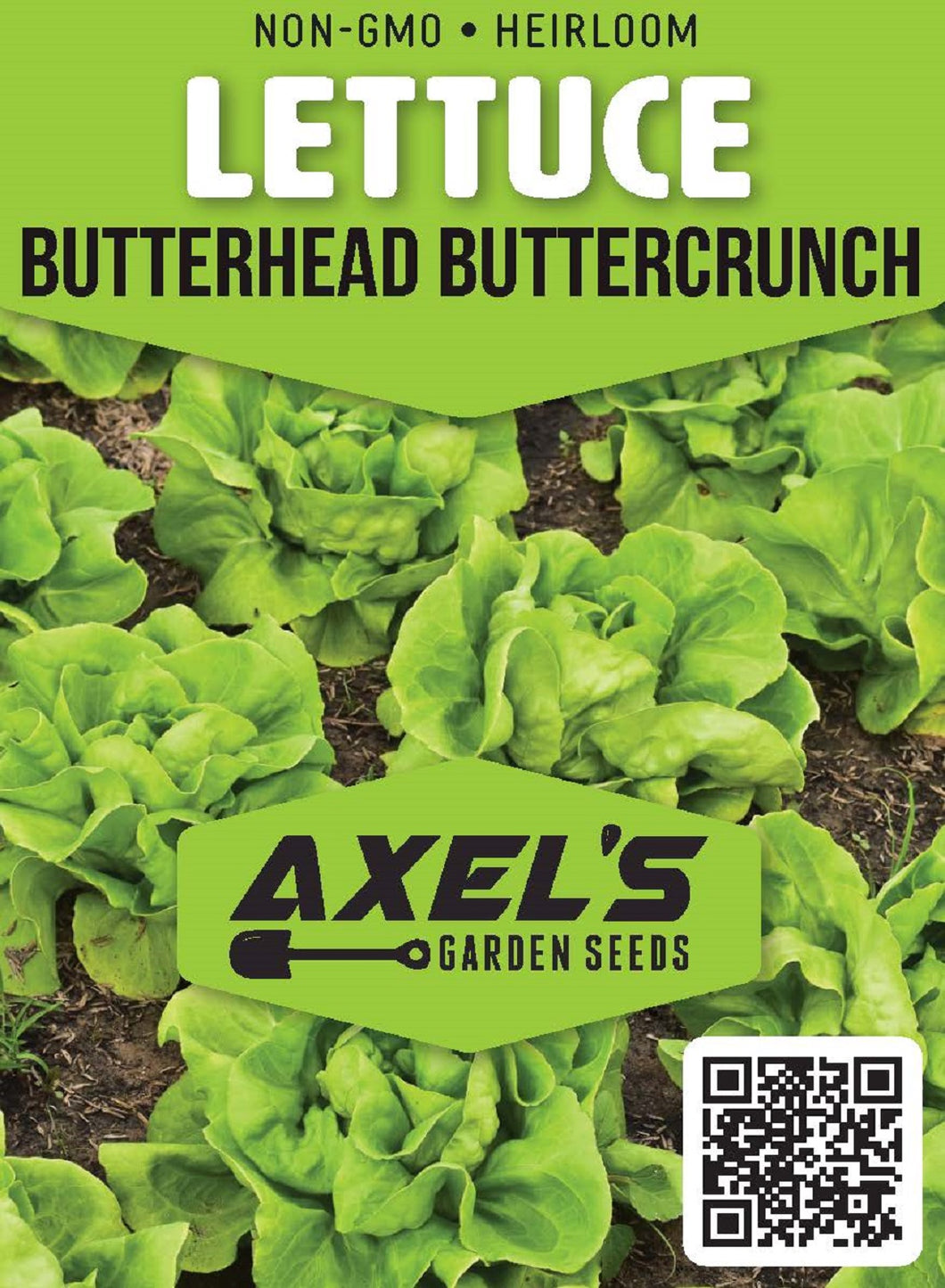 Lettuce Seeds - Butterhead Buttercrunch