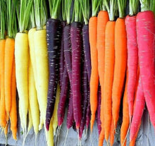 Load image into Gallery viewer, Carrot Seeds - Rainbow Blend
