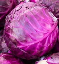 Load image into Gallery viewer, Cabbage Seeds - Red Acre
