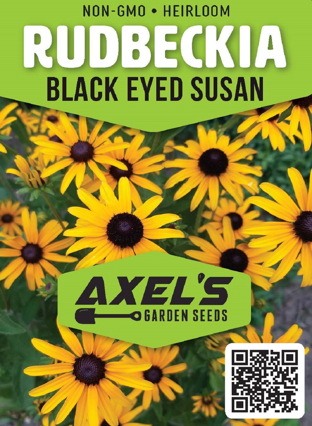 Rudbeckia Seeds - Black Eyed Susan