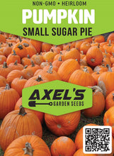 Load image into Gallery viewer, Pumpkin Seeds - Small Sugar Pie
