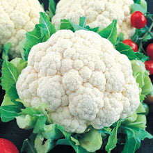 Load image into Gallery viewer, Cauliflower Seeds - Snowball Y Improved
