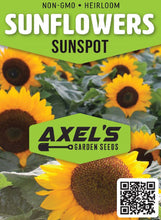 Load image into Gallery viewer, Sunflower Seeds - Sunspot
