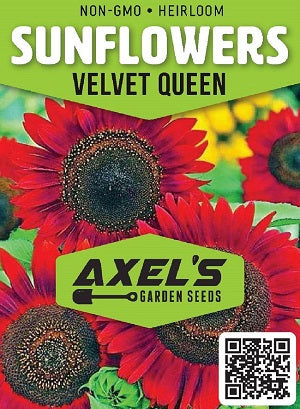 Sunflowers - Velvet Queen